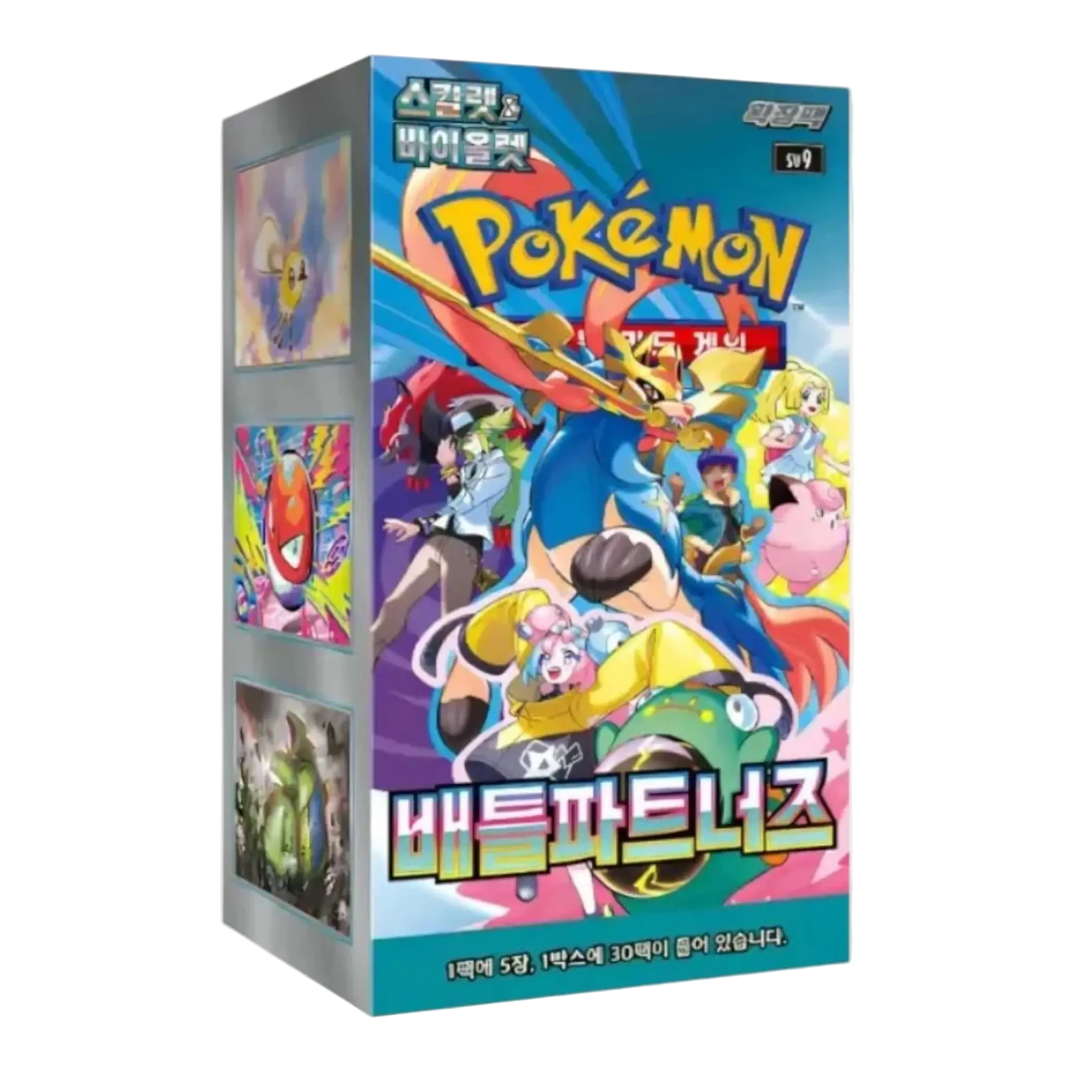 Battle Partner Display (Koreanisch) - CARDHOME
