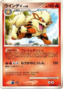 Arcanine Lv.48